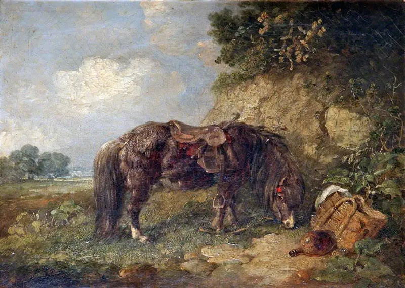 Ein Pony - John Constable