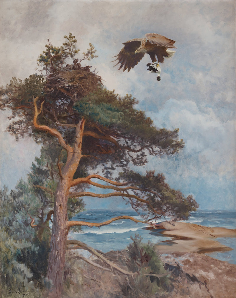 Ein Seeadler trägt seine Beute (eine Schellente) zu seinem Nest. – Bruno Liljefors