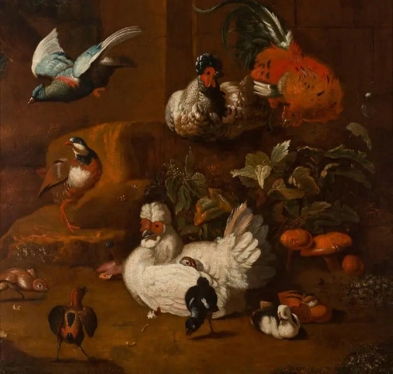 Eine Vogelsammlung - Melchior de Hondecoeter