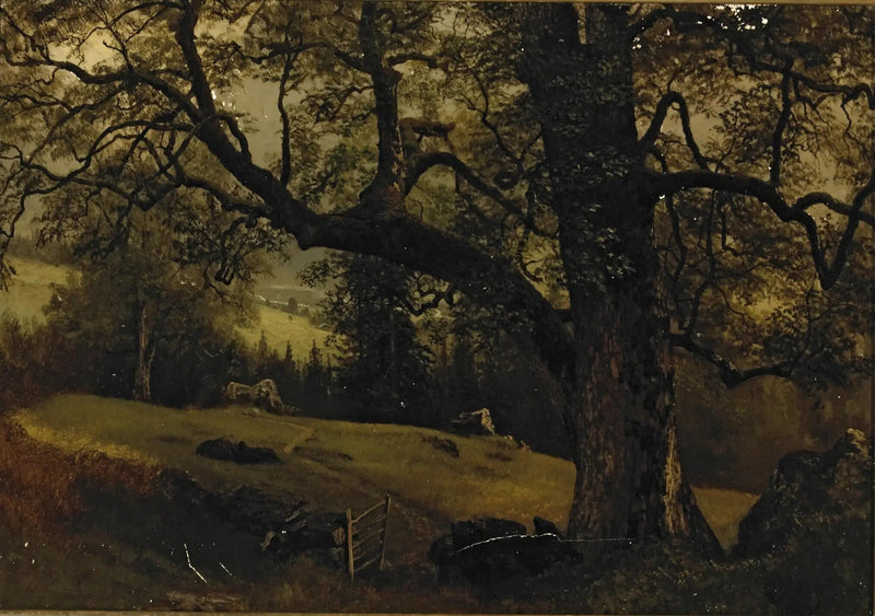 Ein Pfad durch die Bäume - Albert Bierstadt