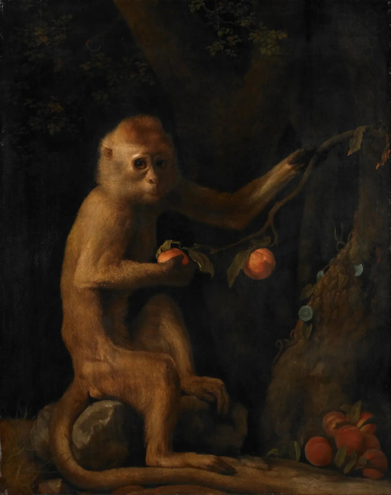 Ein Affe - George Stubbs