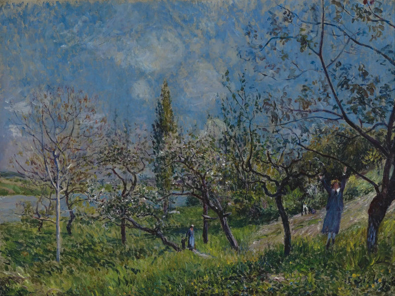 Ein Obstgarten im Frühling, Von - Alfred Sisley