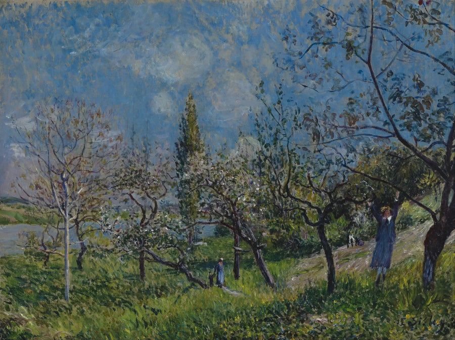 Ein Obstgarten im Frühling, Von - Alfred Sisley