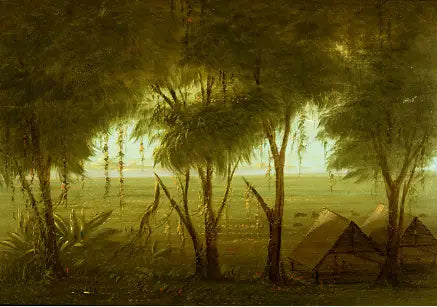 Ein Dorf von Connibo - George Catlin