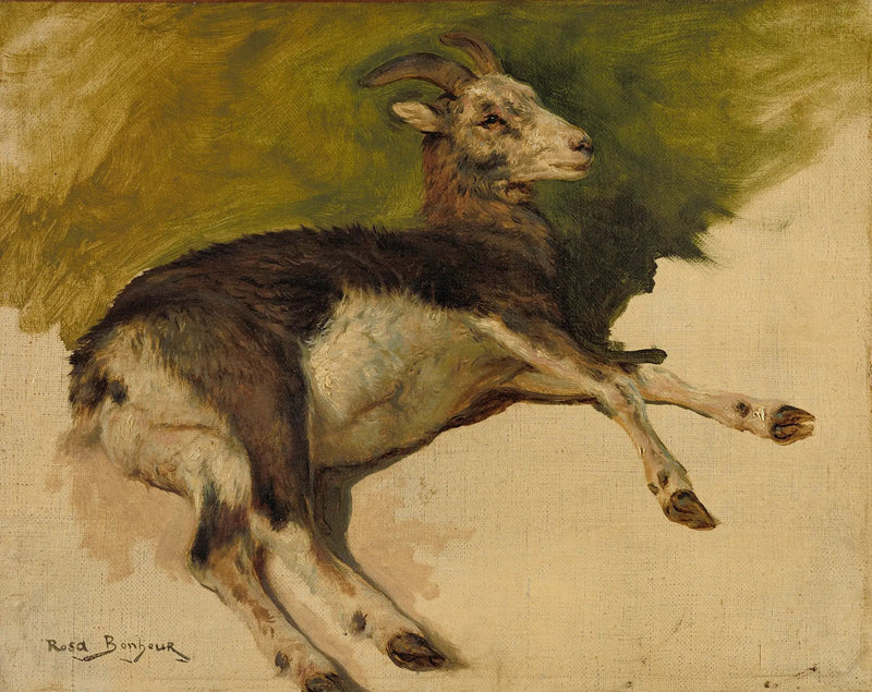 Eine Ziege - Rosa Bonheur