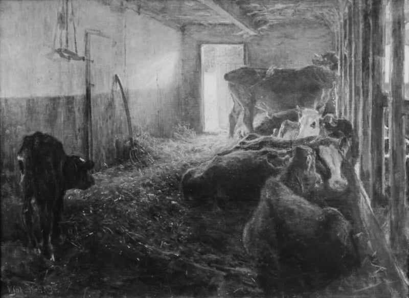 Ein Stall - Viggo Johansen