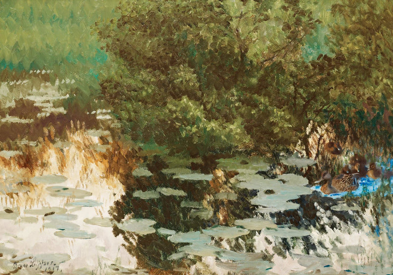 Eine Entenfamilie zwischen Seerosen. – Bruno Liljefors