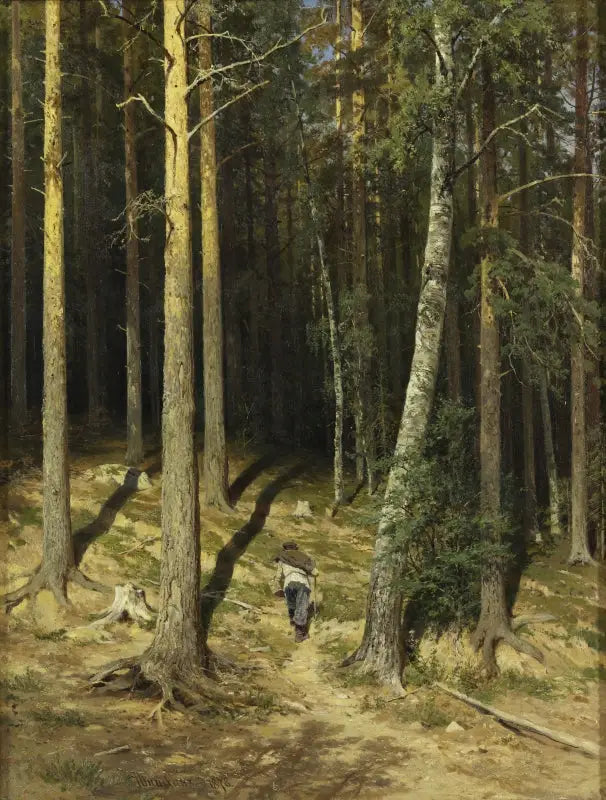 Eine Pinienwald - Ivan Chichkine