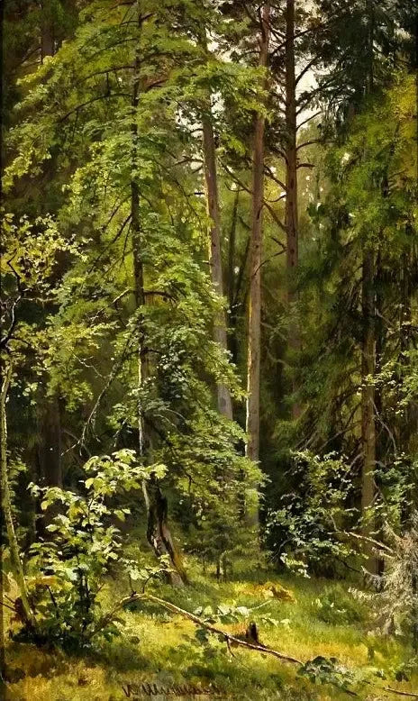 Ein Wald - Ivan Chichkine