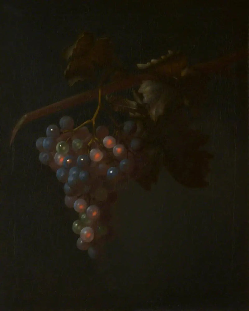 Eine Traube Wein - Tobias Stranover