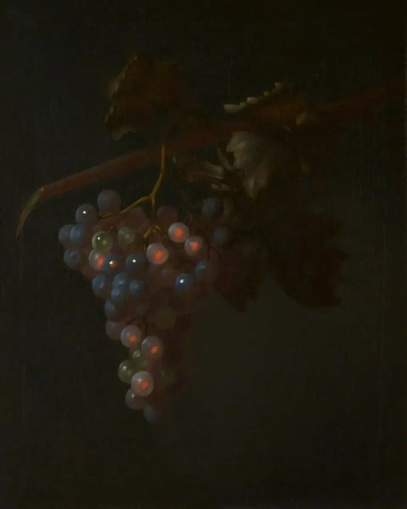 Eine Traube Wein - Tobias Stranover