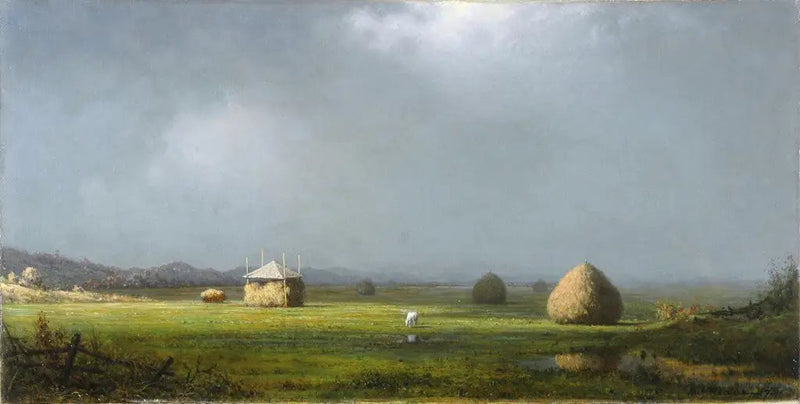 Ein bewölkter Tag - Martin Johnson Heade