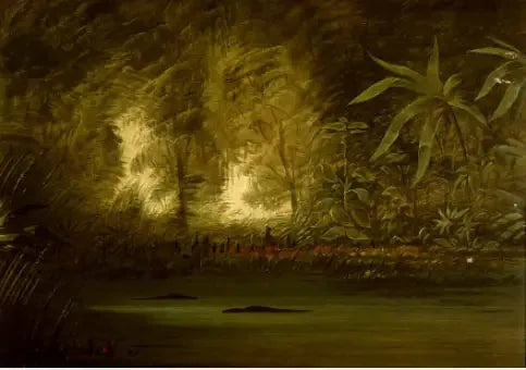 Eine Lagune des Oberen Amazonas - George Catlin