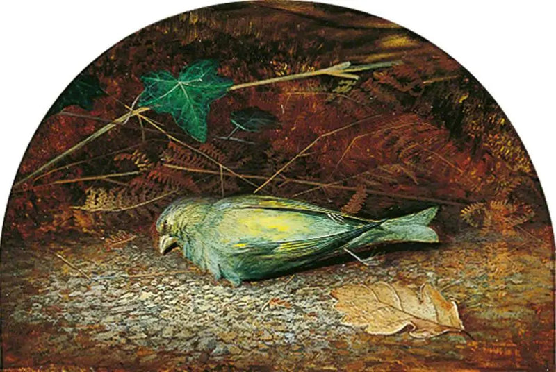 Eine tote Fink - John Atkinson Grimshaw