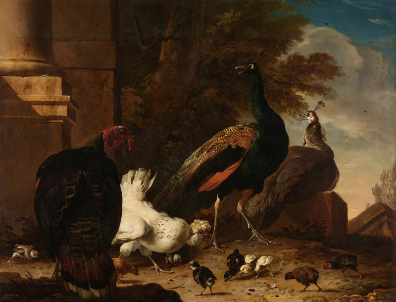Eine Henne mit Pfauen und eine Truthenne - Melchior de Hondecoeter