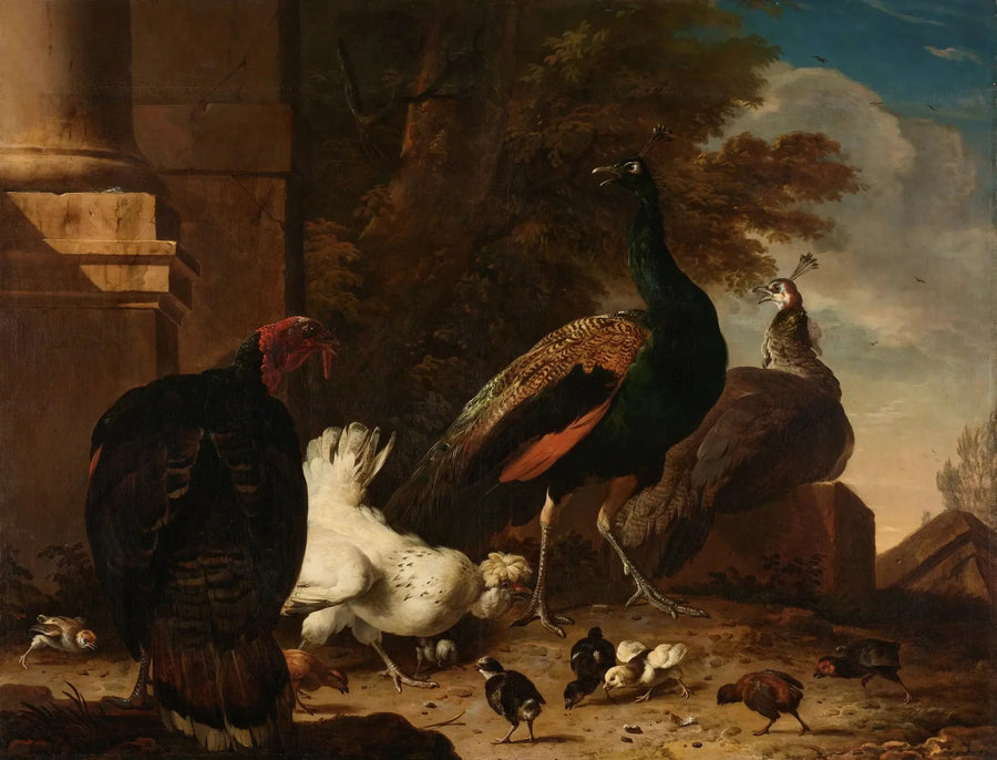 Eine Henne mit Pfauen und eine Truthenne - Melchior de Hondecoeter