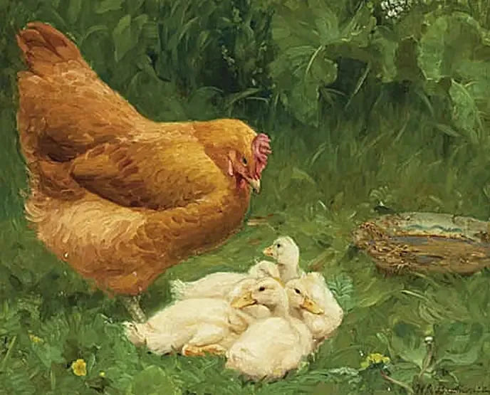 Eine Henne und einige Entenküken. - H. A. Brendekilde