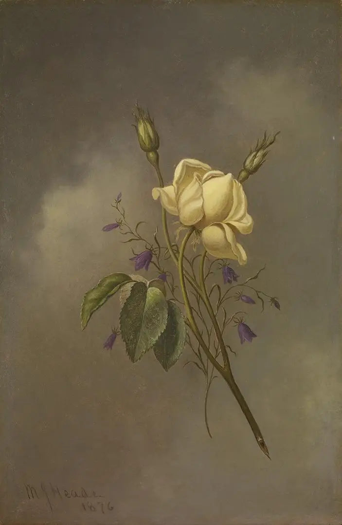 Eine gelbe Rose gegen einen bewölkten Himmel - Martin Johnson Heade