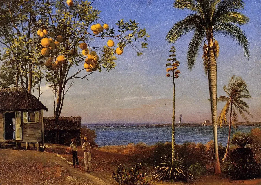 Blick auf die Bahamas, Öl auf Papier auf Karton, 48,58 x 35,24 cm - Albert Bierstadt