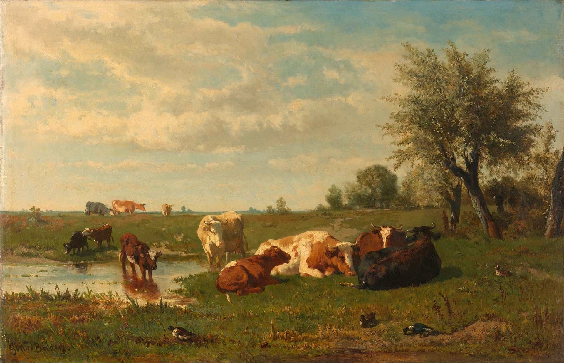 Vaches dans le pré - Gerard Bilders