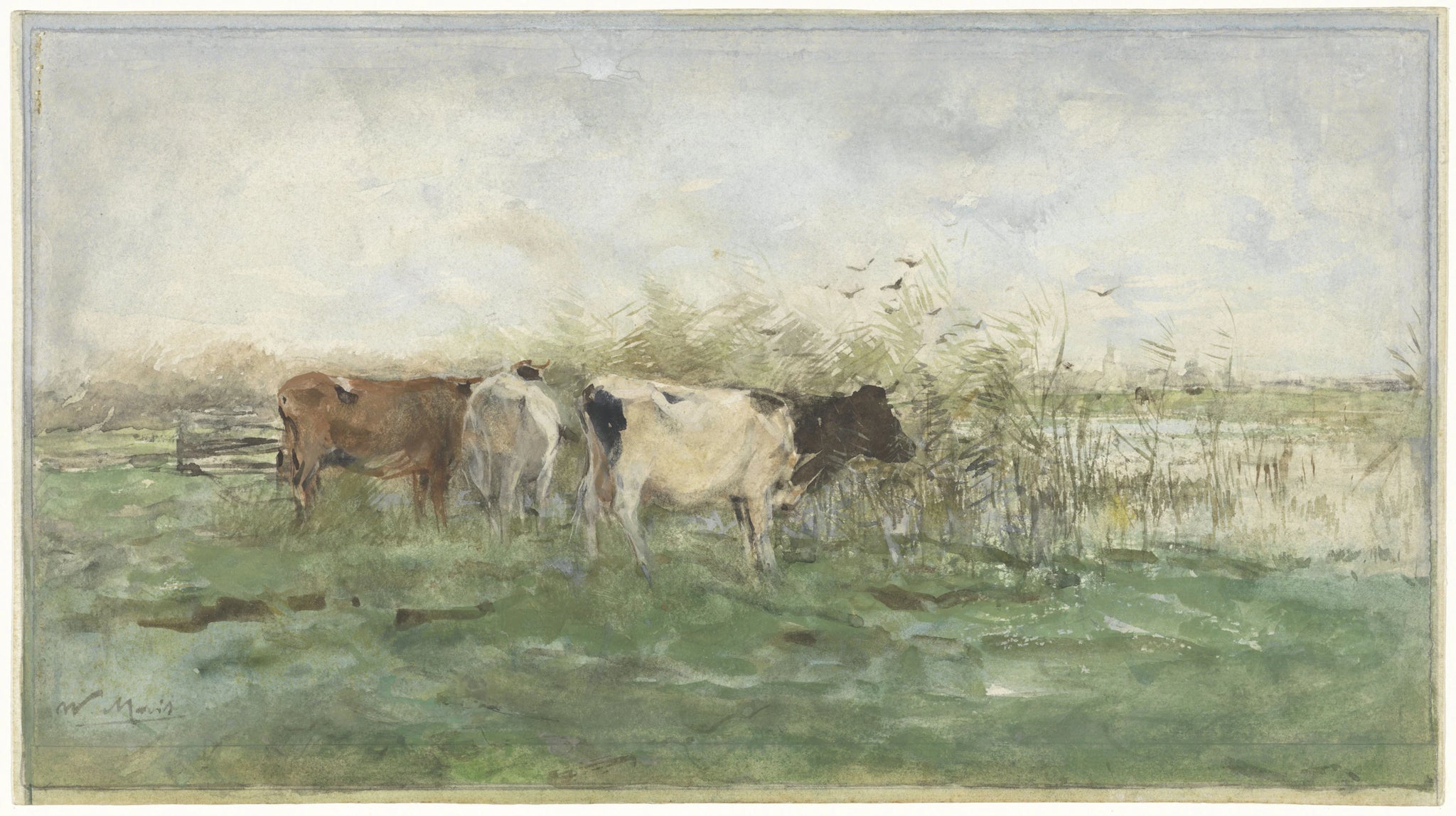 Vaches près d'une flaque d'eau - Willem Maris