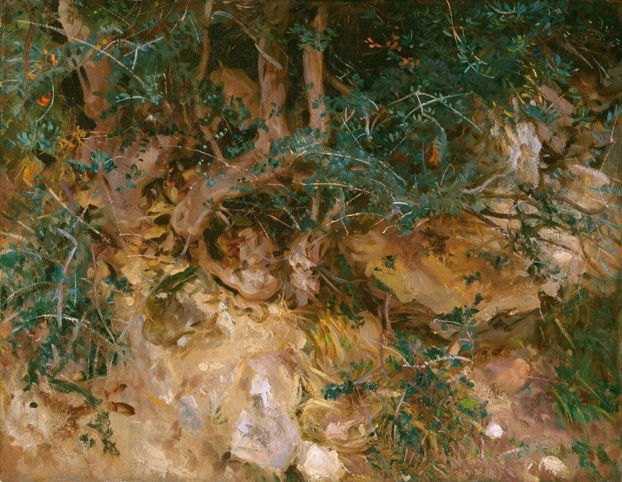 Valdemosa, Mallorca: Disteln und Kräuter auf einem Hügel - John Singer Sargent