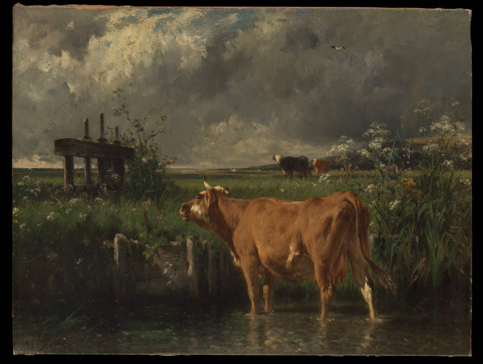 Das Ventil -Emile van Marcke