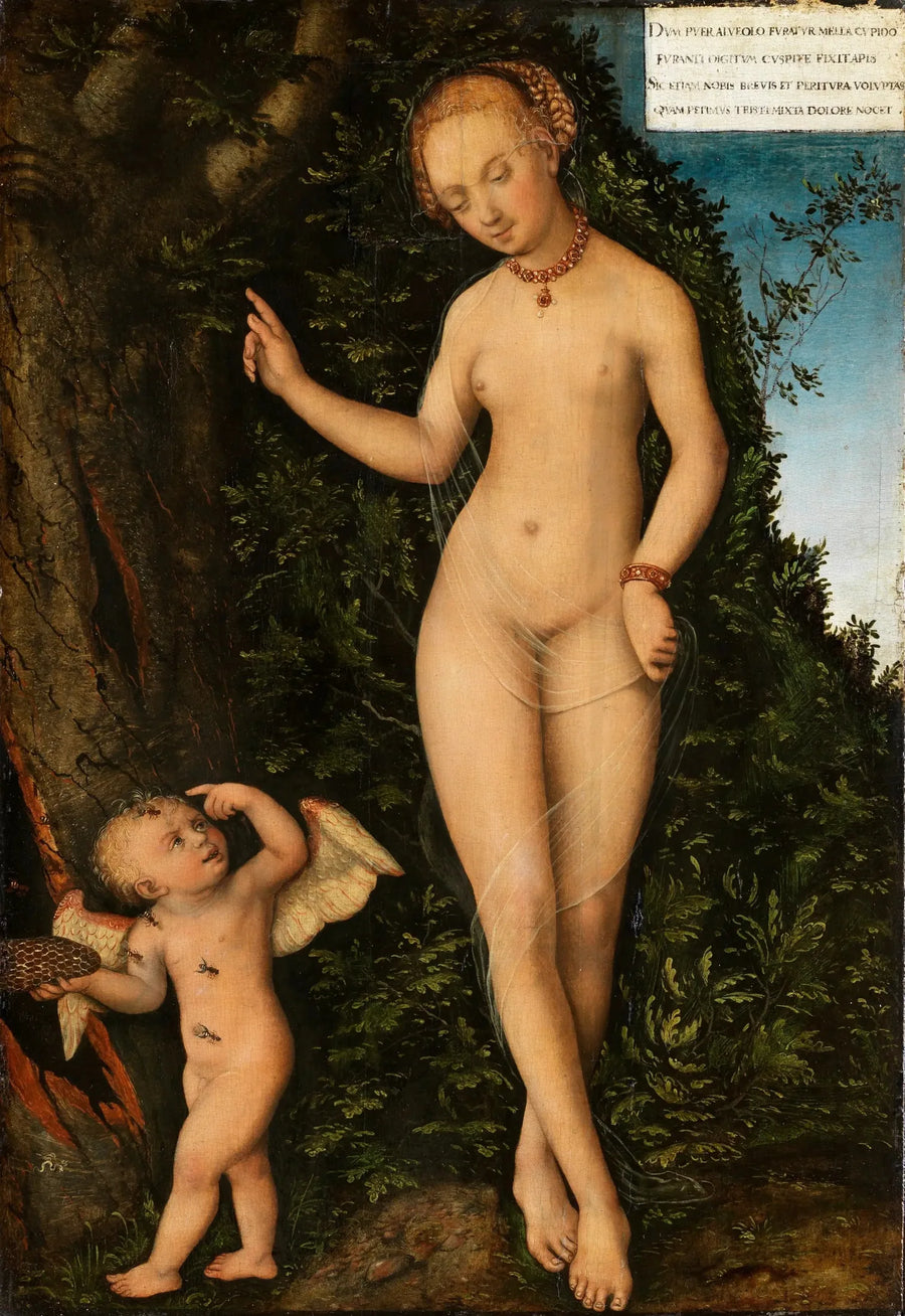 Venus mit Cupido, dem Honigdiebstahl - Lucas Cranach der Ältere