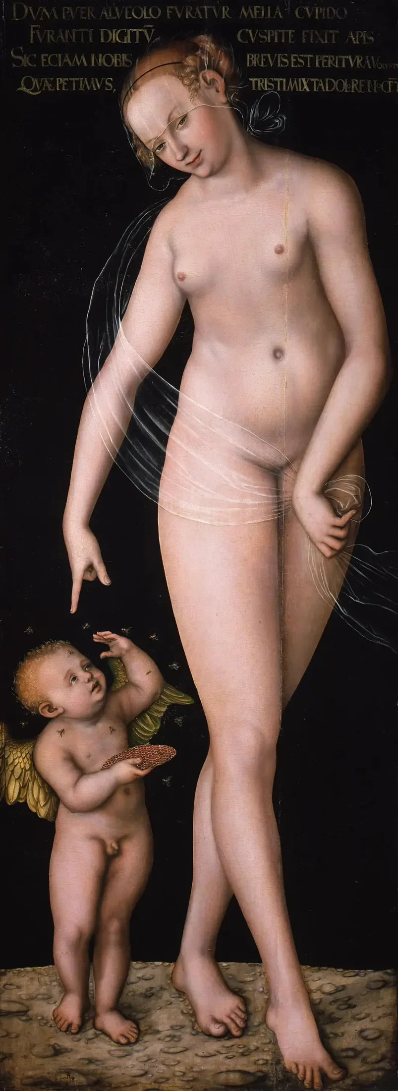 Venus mit Cupido, dem Honigdiebstahl - Lucas Cranach der Ältere