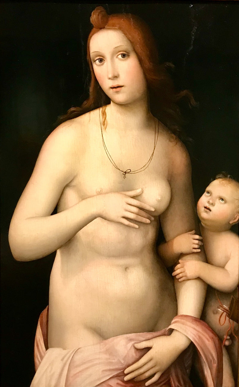 Venus und Amor - Francesco Francia