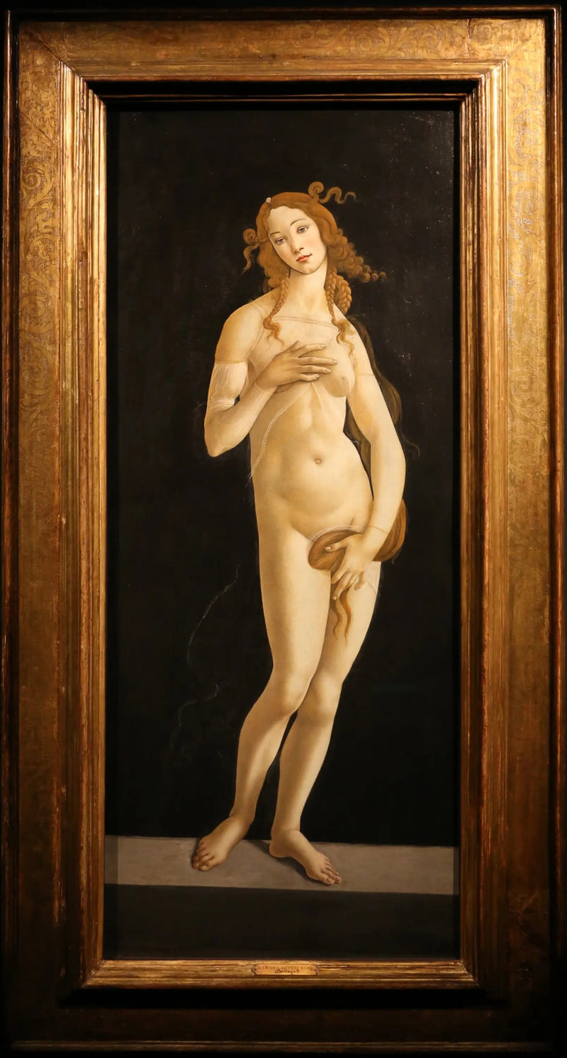 Züchtige Venus - Sandro Botticelli