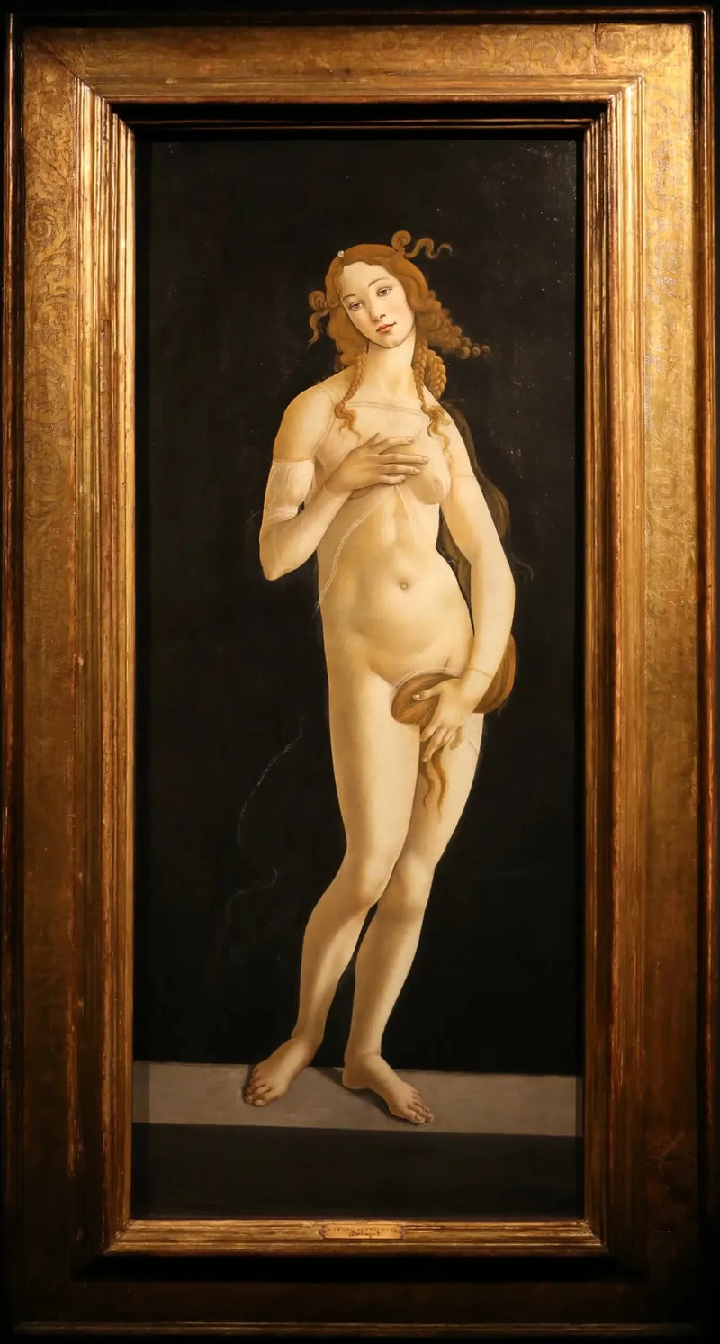 Züchtige Venus - Sandro Botticelli