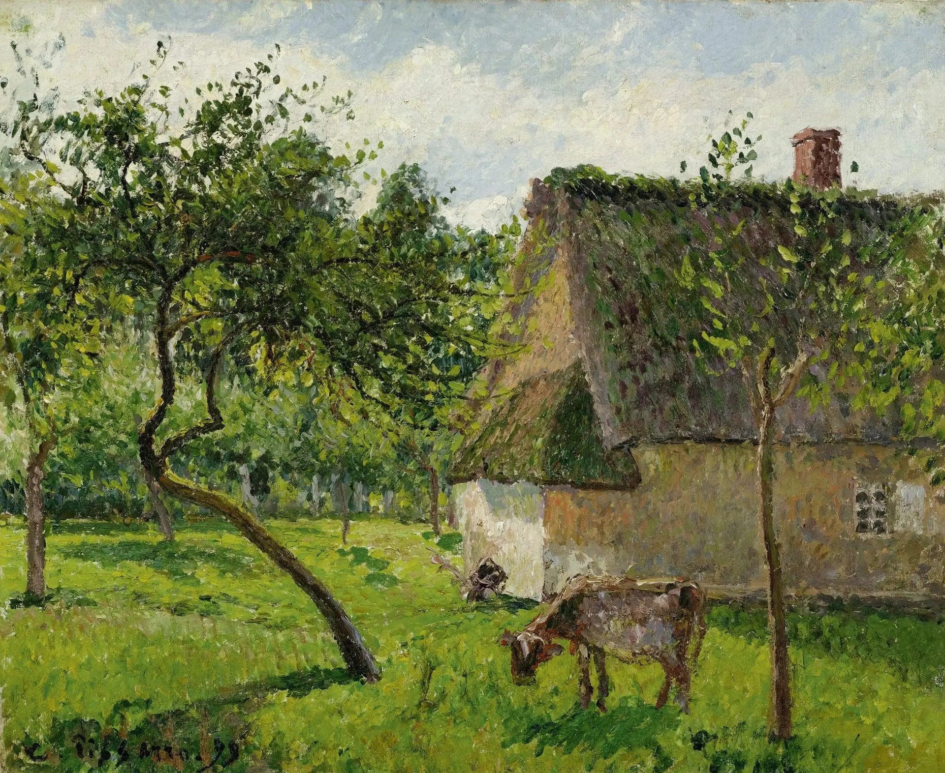 Verger à Varengeville avec vache (Un clos à Varengeville) - Camille Pissarro image 1 reproduction réalisée par Alpha Reproduction