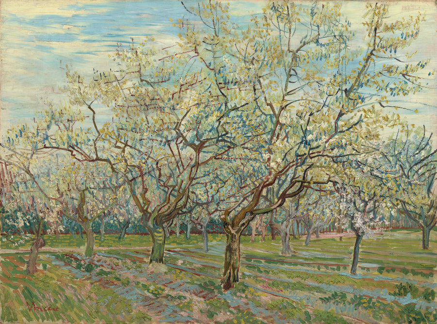 Der weiße Obstgarten - Vincent van Gogh