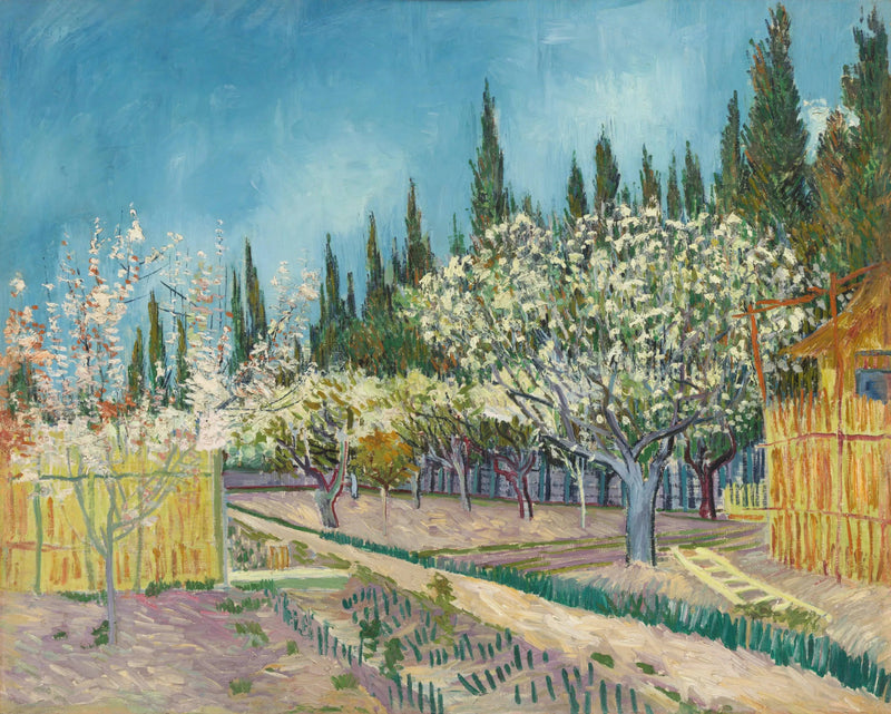 Blühender Obstgarten, gesäumt von Zypressen - Vincent van Gogh