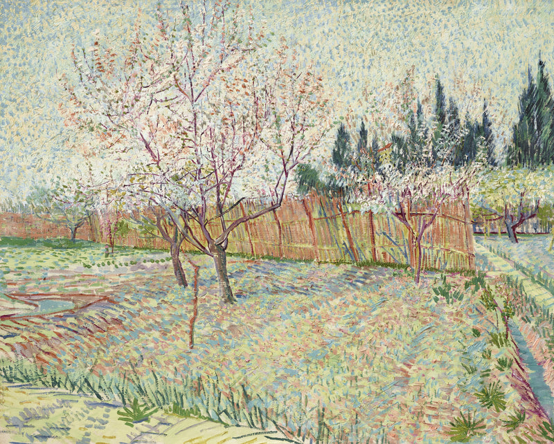 Obstgarten mit Zypressen - Vincent van Gogh