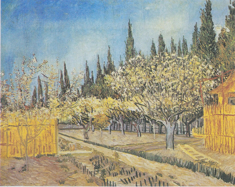Blühender Obstgarten, gesäumt von Zypressen - Vincent van Gogh