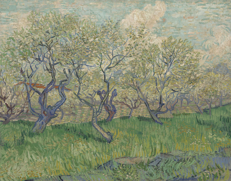 Blühender Obstgarten - Vincent van Gogh