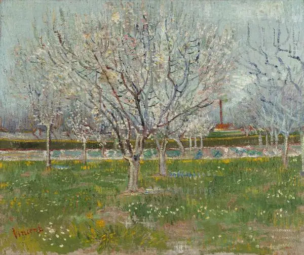 Blühender Obstgarten - Vincent van Gogh
