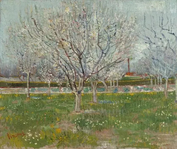 Blühender Obstgarten - Vincent van Gogh
