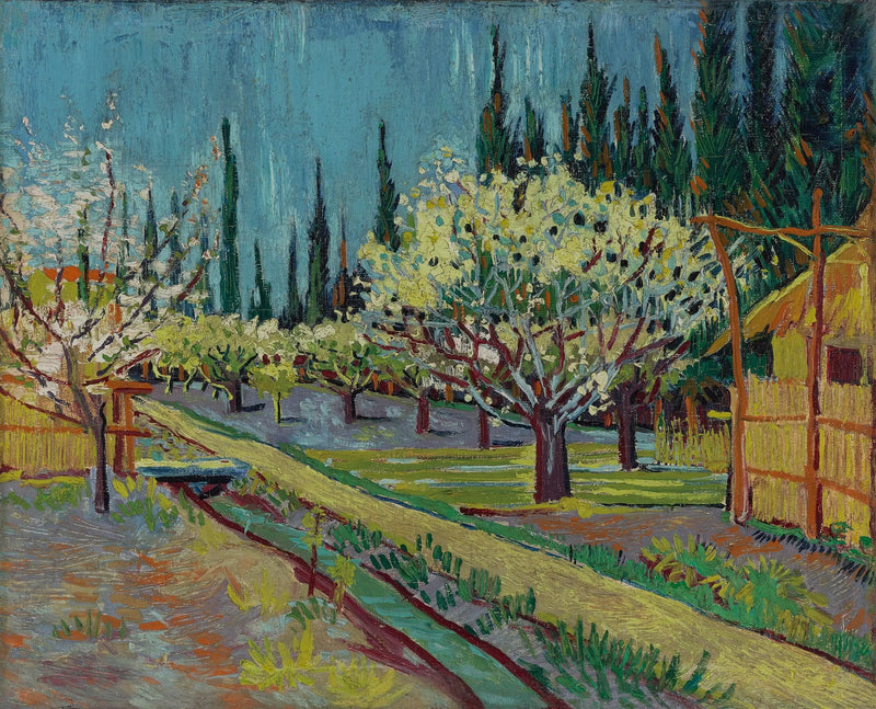 Blühender Obstgarten, umgeben von Zypressen - Vincent van Gogh
