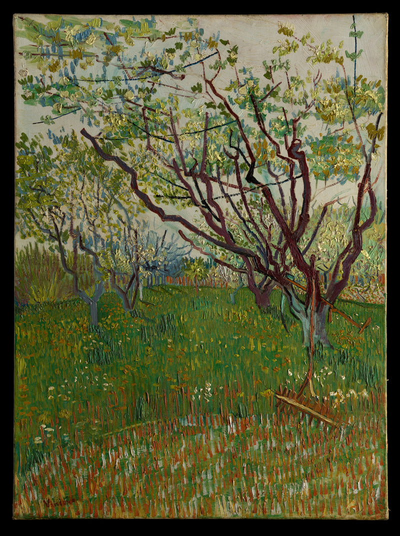 Blühender Obstgarten - Vincent van Gogh