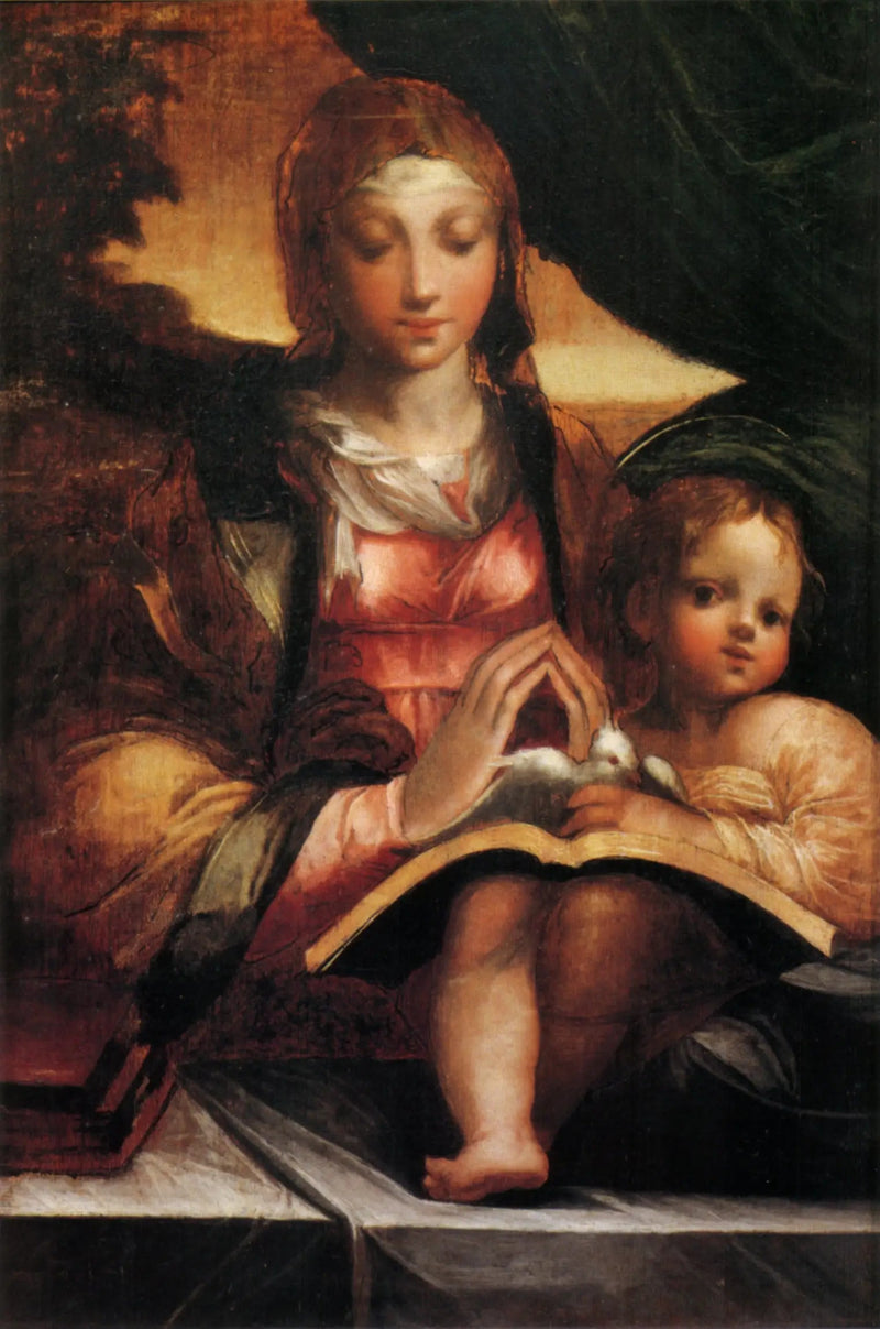 Jungfrau mit Kind - Parmigianino