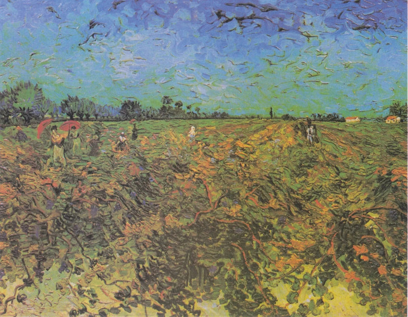 Grüne Weinrebe - Vincent van Gogh