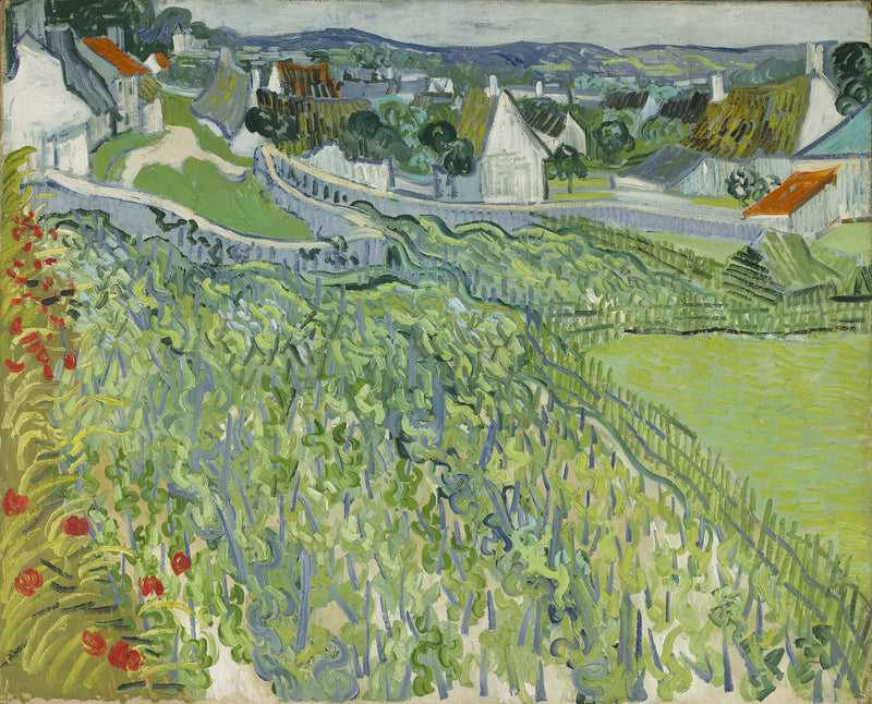 Weinberge von Auvers - Vincent van Gogh
