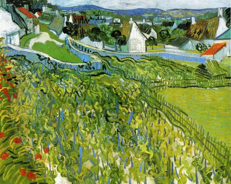 Weinberge von Auvers - Vincent van Gogh