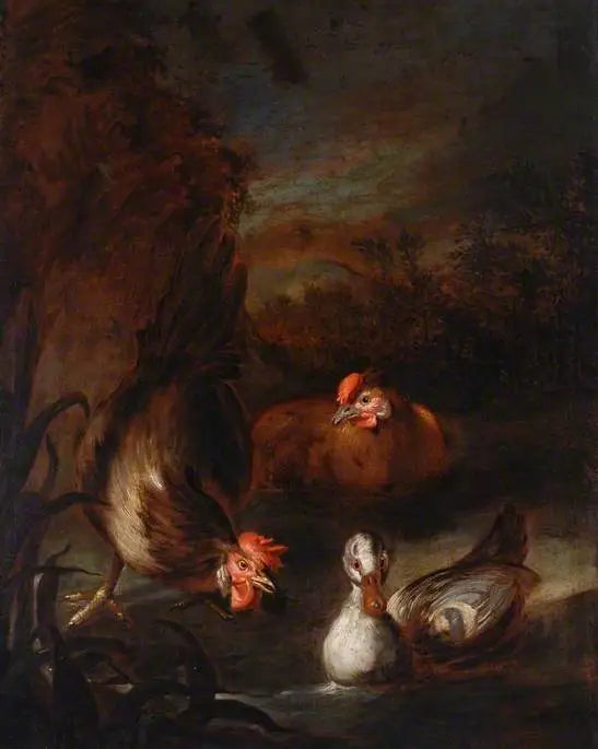 Geflügel - Melchior de Hondecoeter