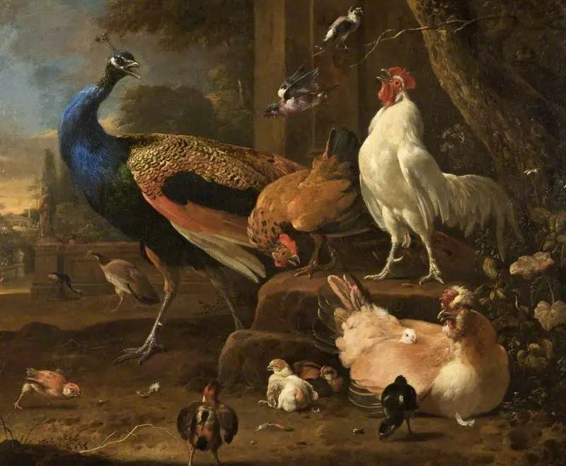Geflügel - Melchior de Hondecoeter