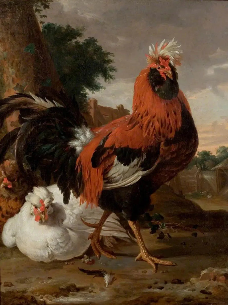 Geflügel - Melchior de Hondecoeter