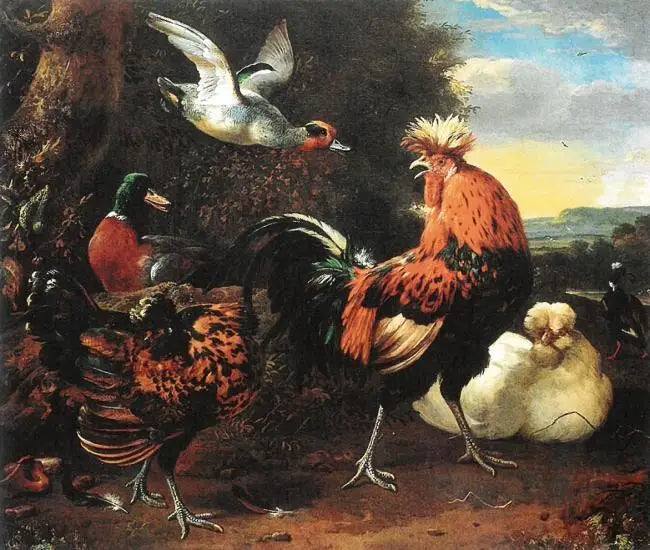 Geflügel - Melchior de Hondecoeter